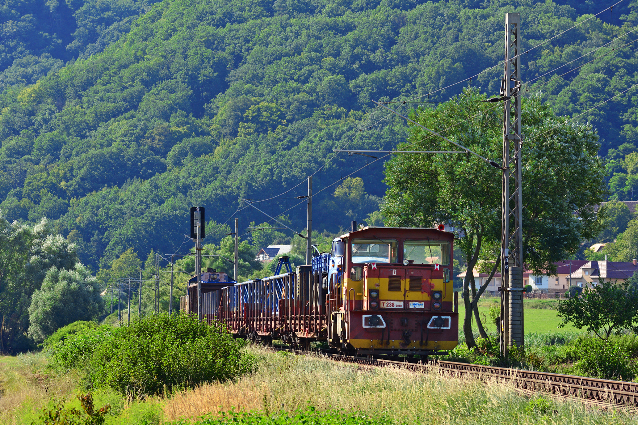 T238 0010