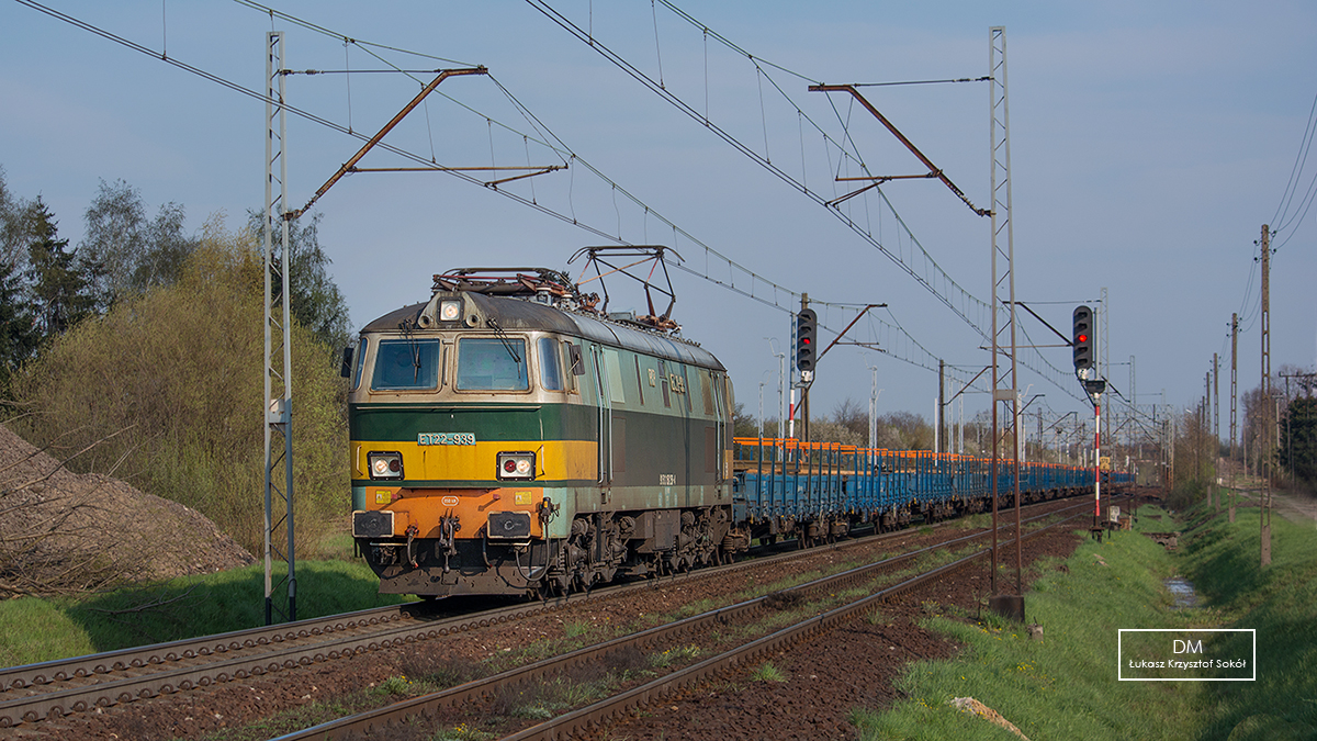 ŻÓŁTY REKIN