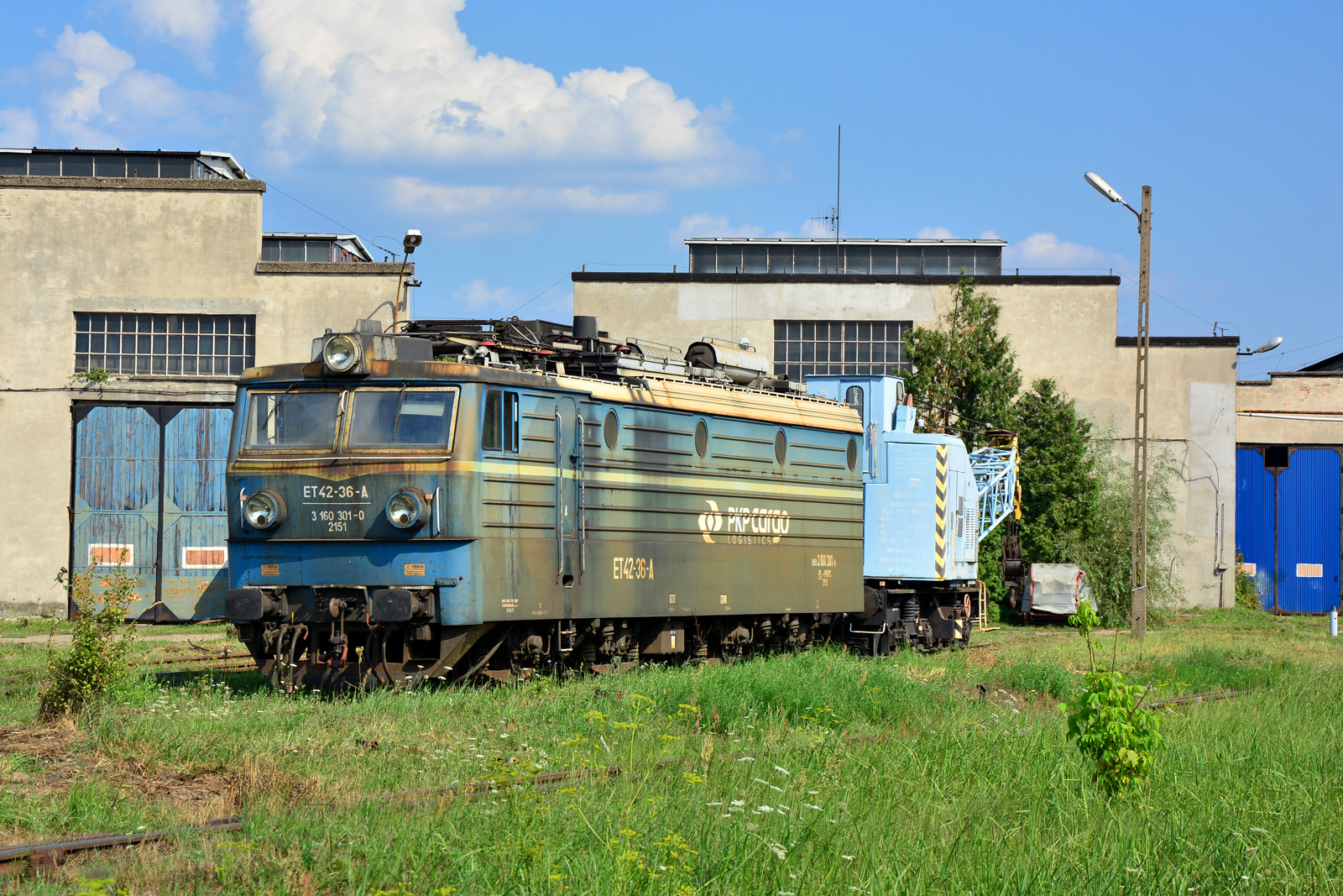 ET42-036