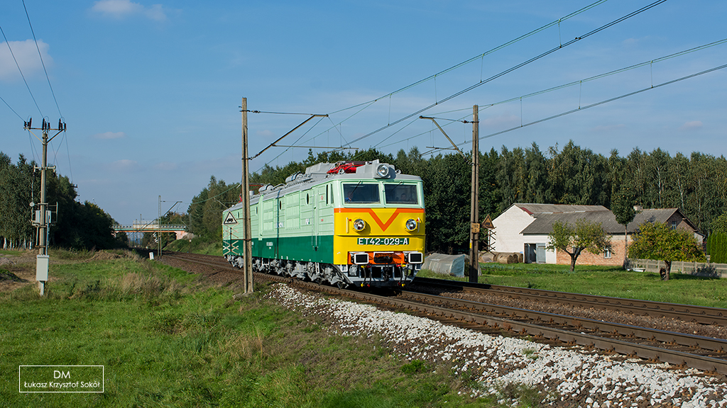 ŻÓŁTODZIÓB
