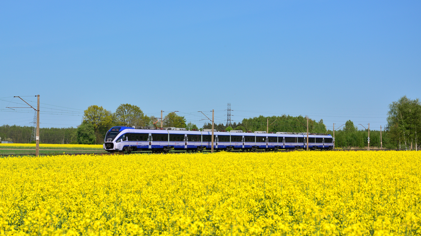 ED161-018