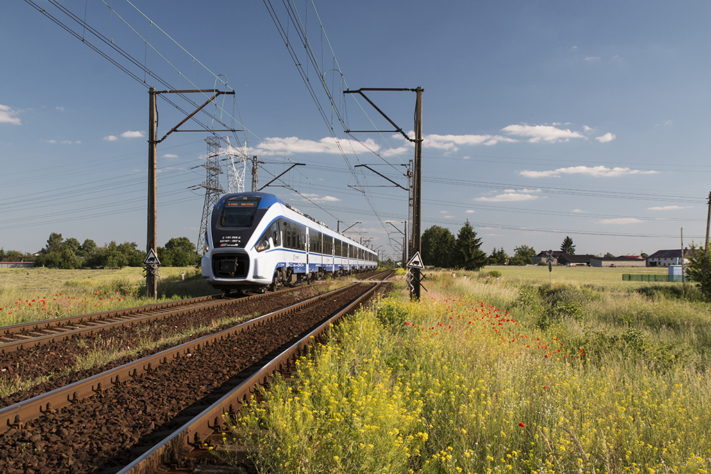 ED161-007