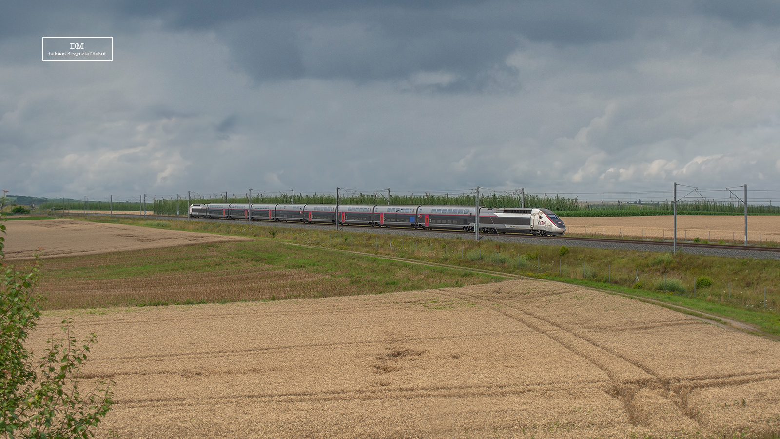 frr1