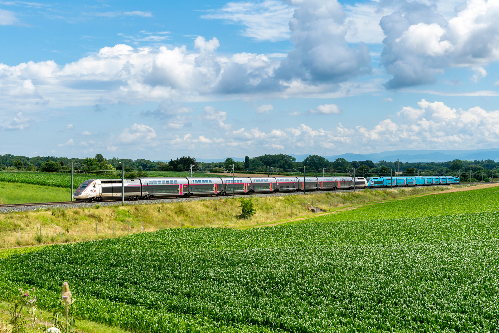 TGV