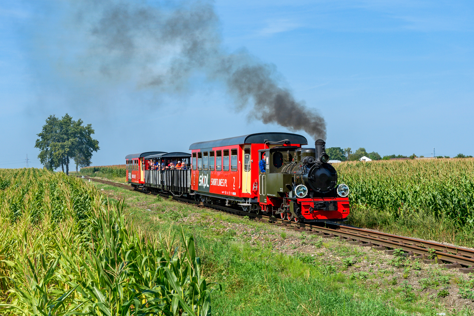 Las49-4968