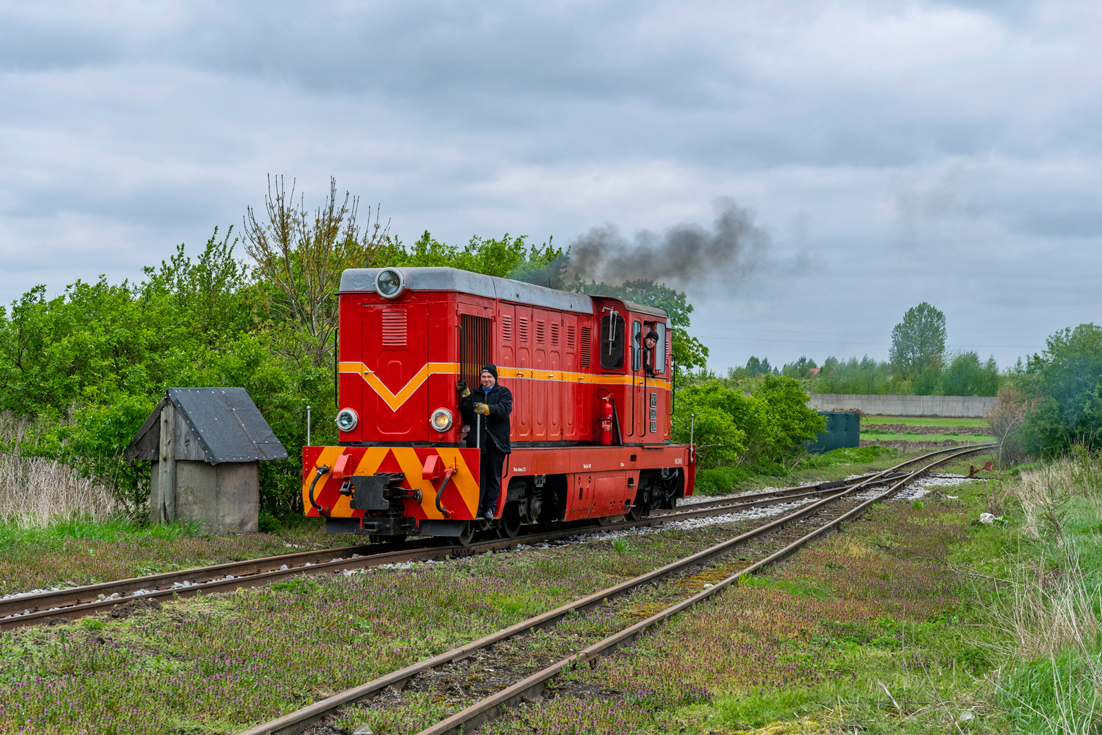 Lxd2-264