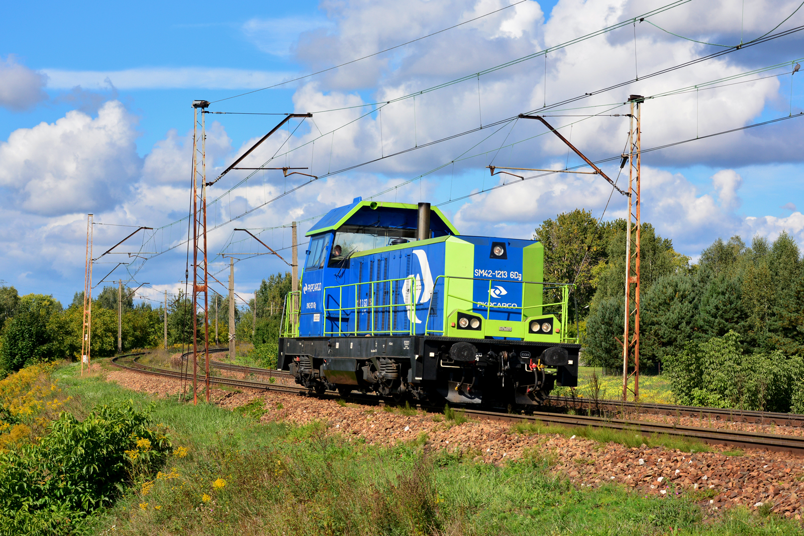 SM42-1213