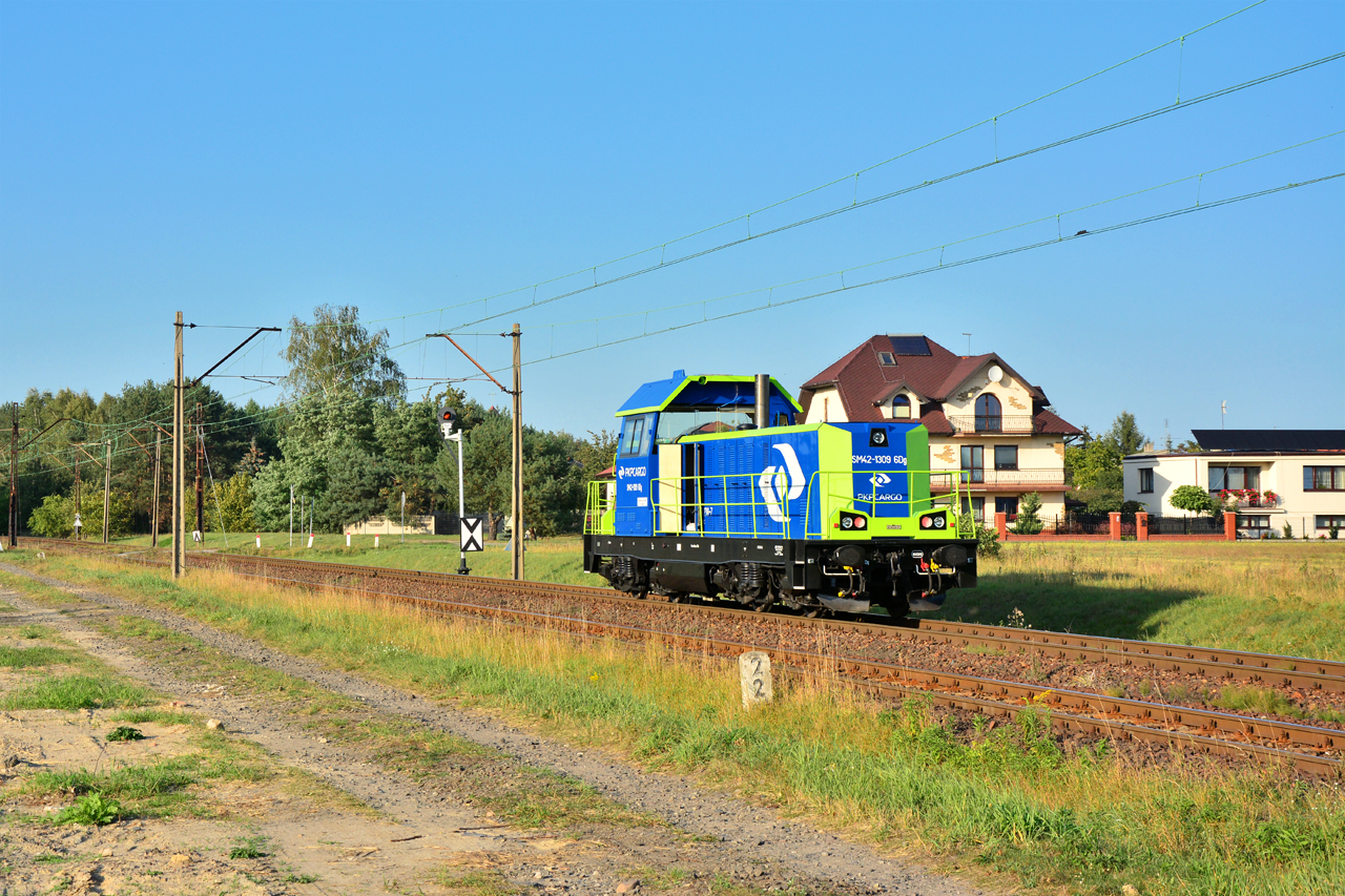 SM42-1309