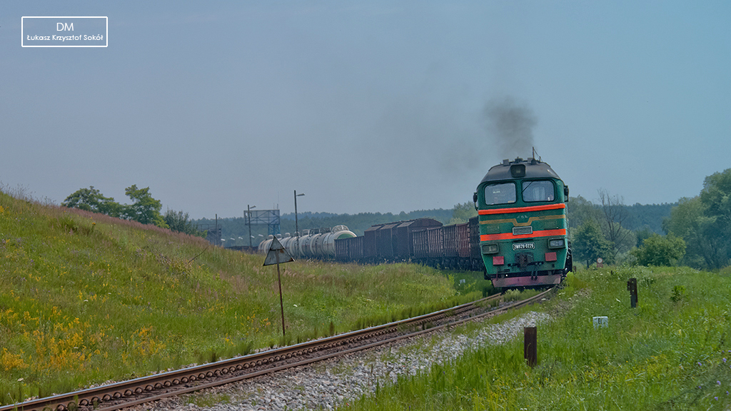 2M62Y-0229