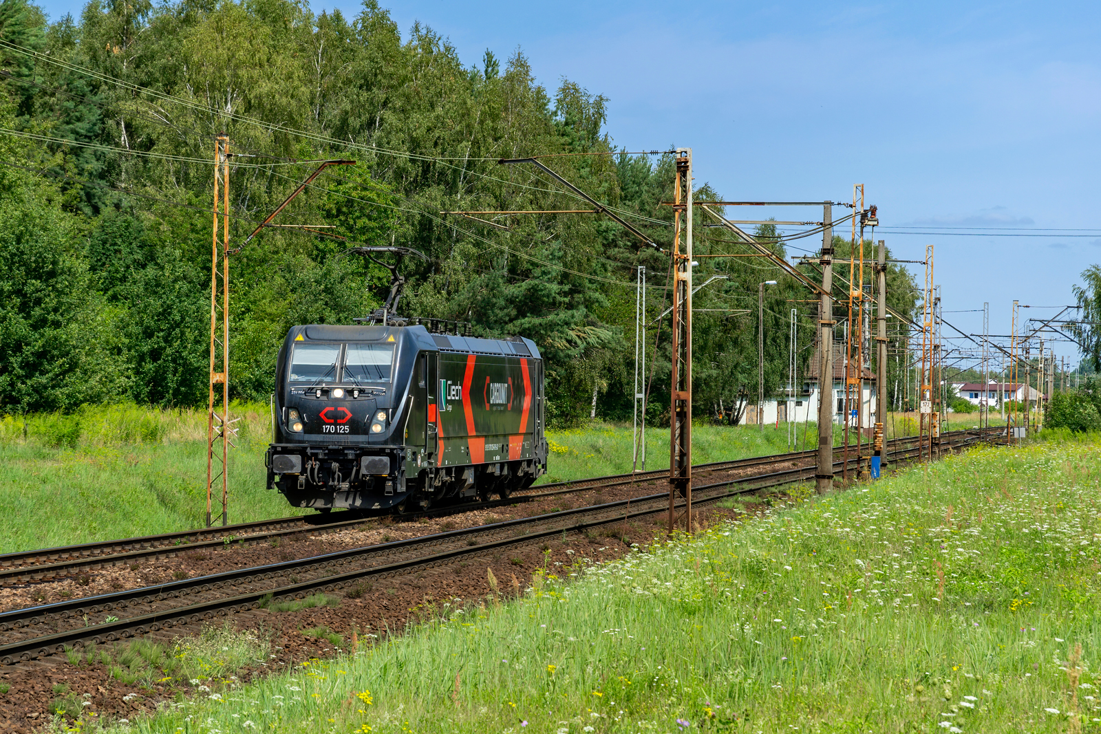 594 008