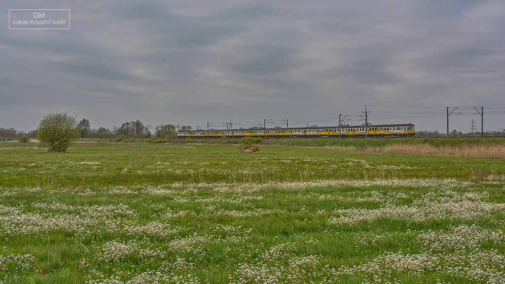 KIBICE