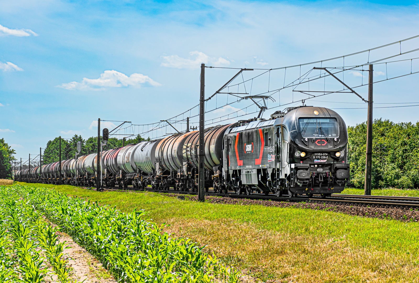 111Ed-074