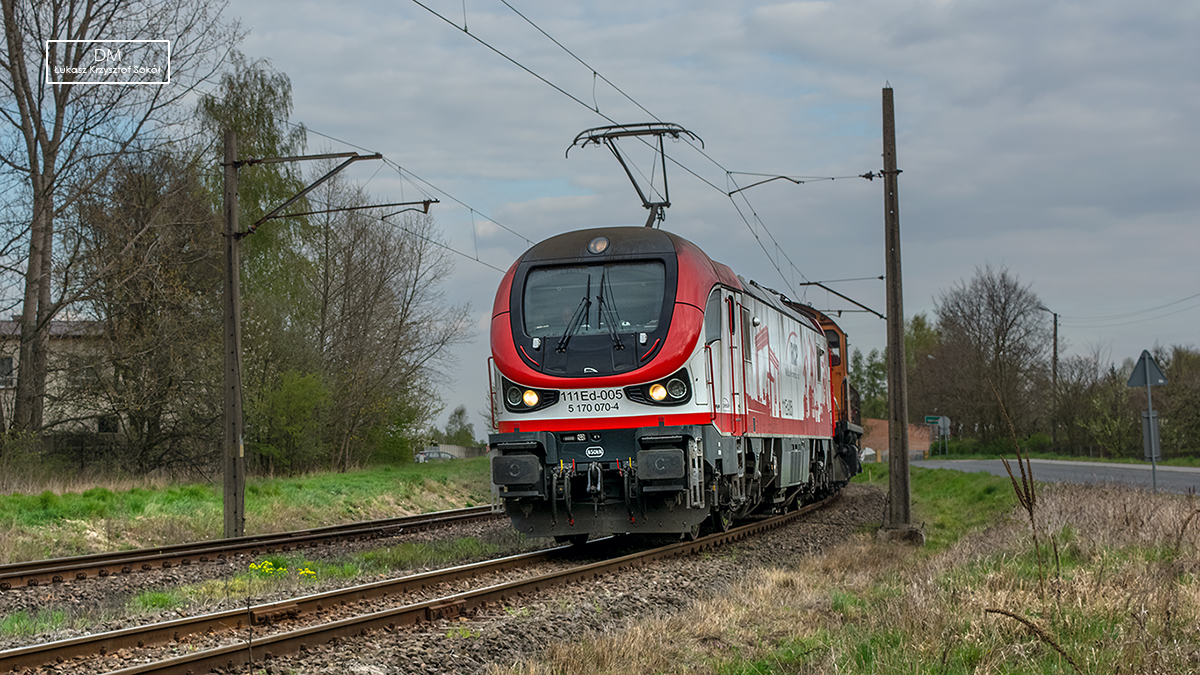 ORLENOWY GAMOŃ