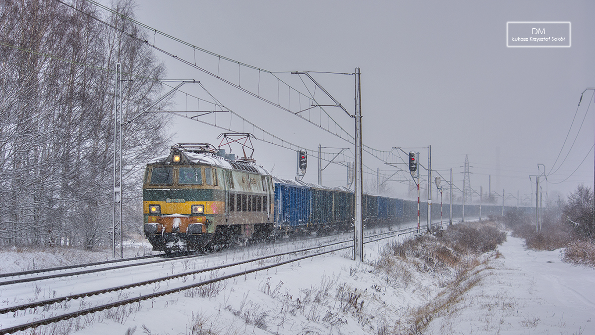 ŚNIEŻYCA
