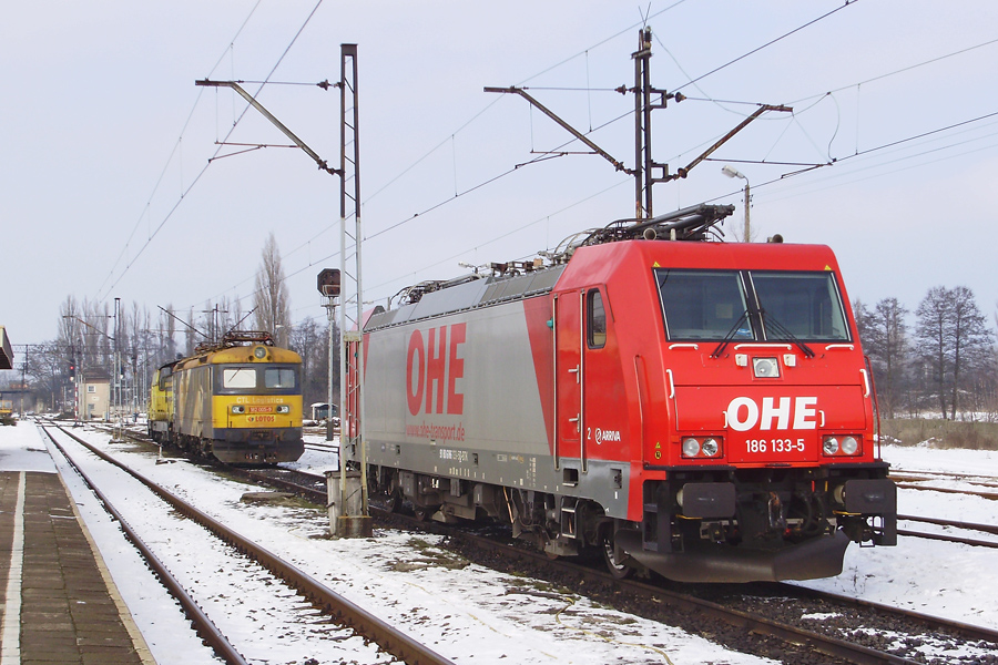E186-133-5
