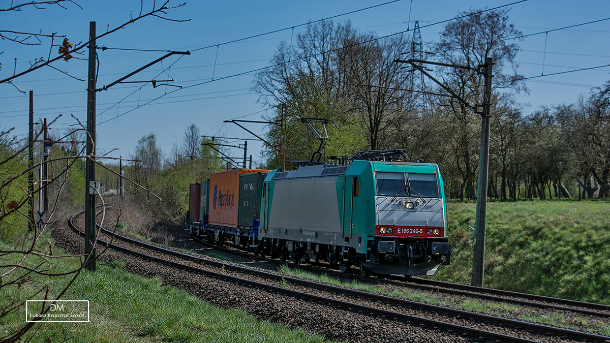ZIELONE PCC