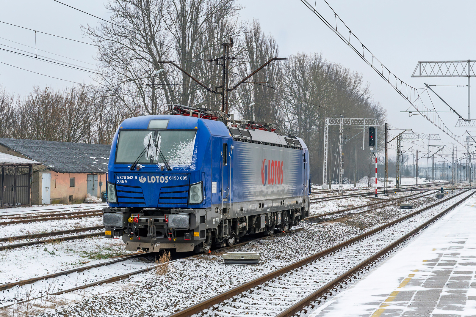6193 005