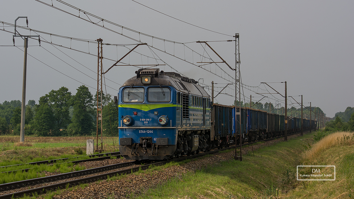 NIESPODZIANKA