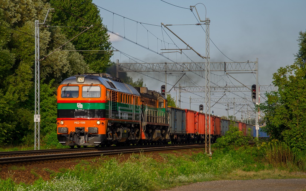 M62-1199 & TEM2-183