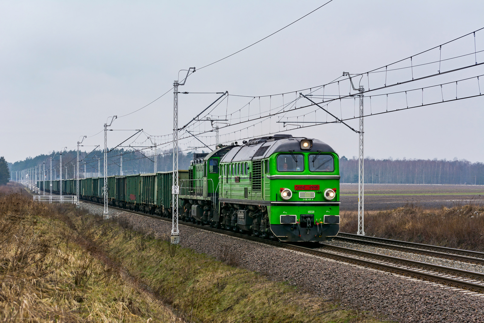M62-1556