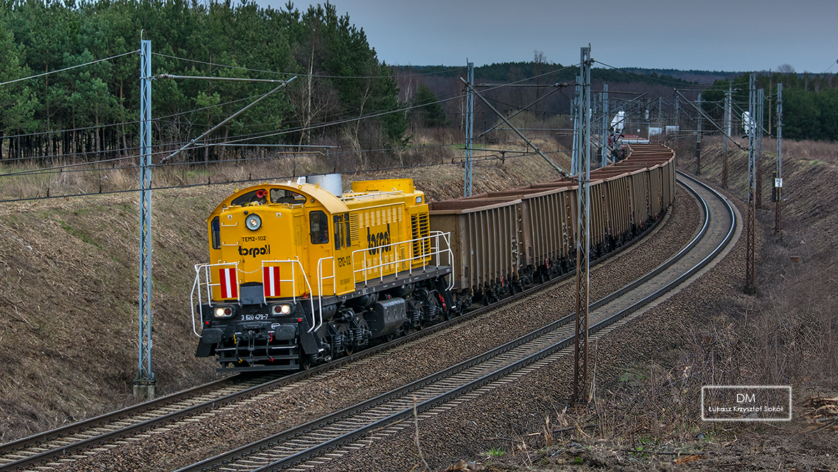YELLOW TORPOL