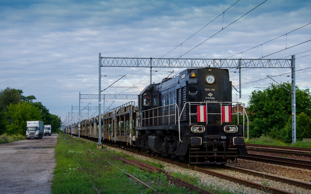 TEM2-266