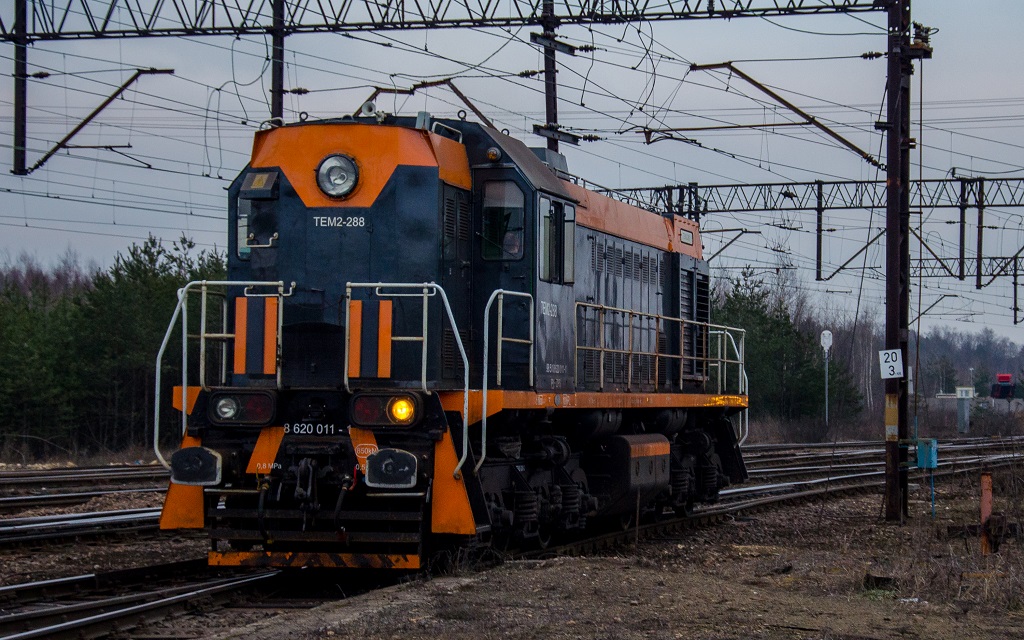 TEM2-288