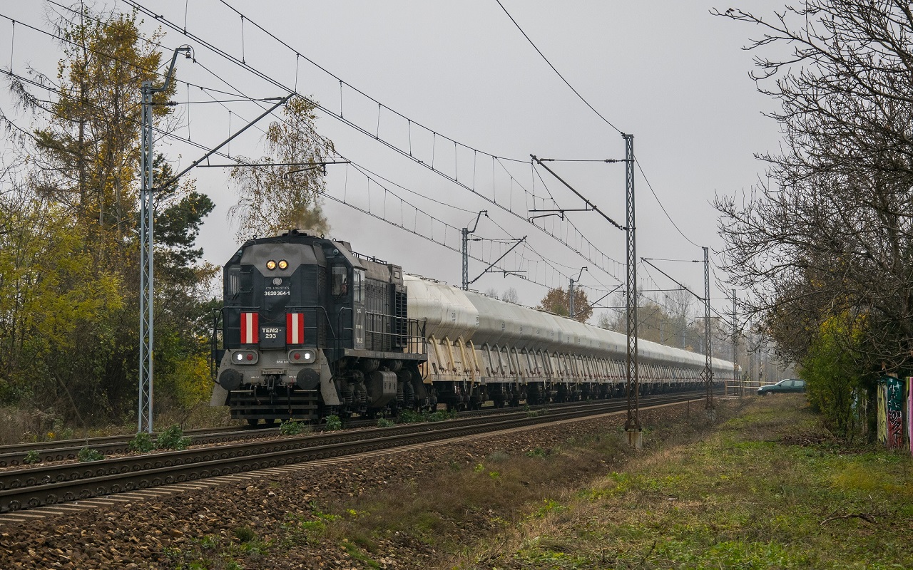 TEM2-293