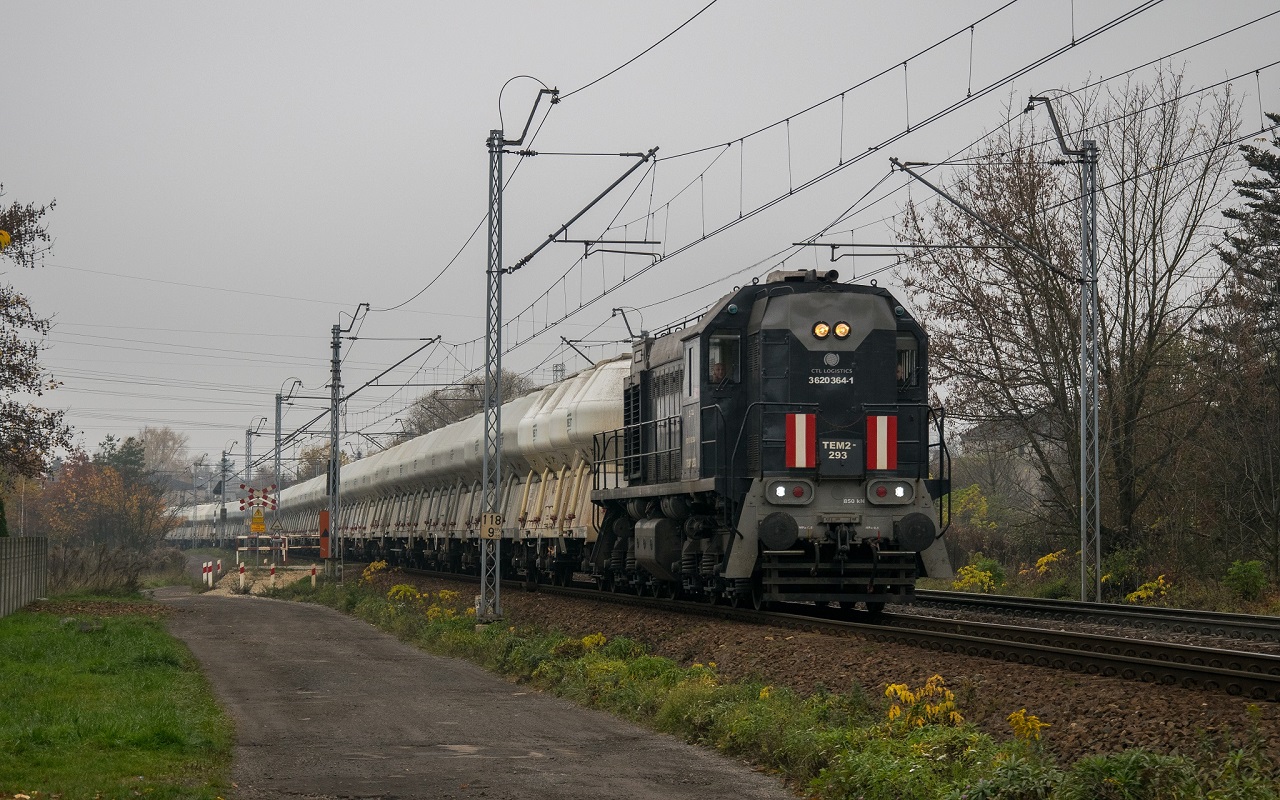 TEM2-293