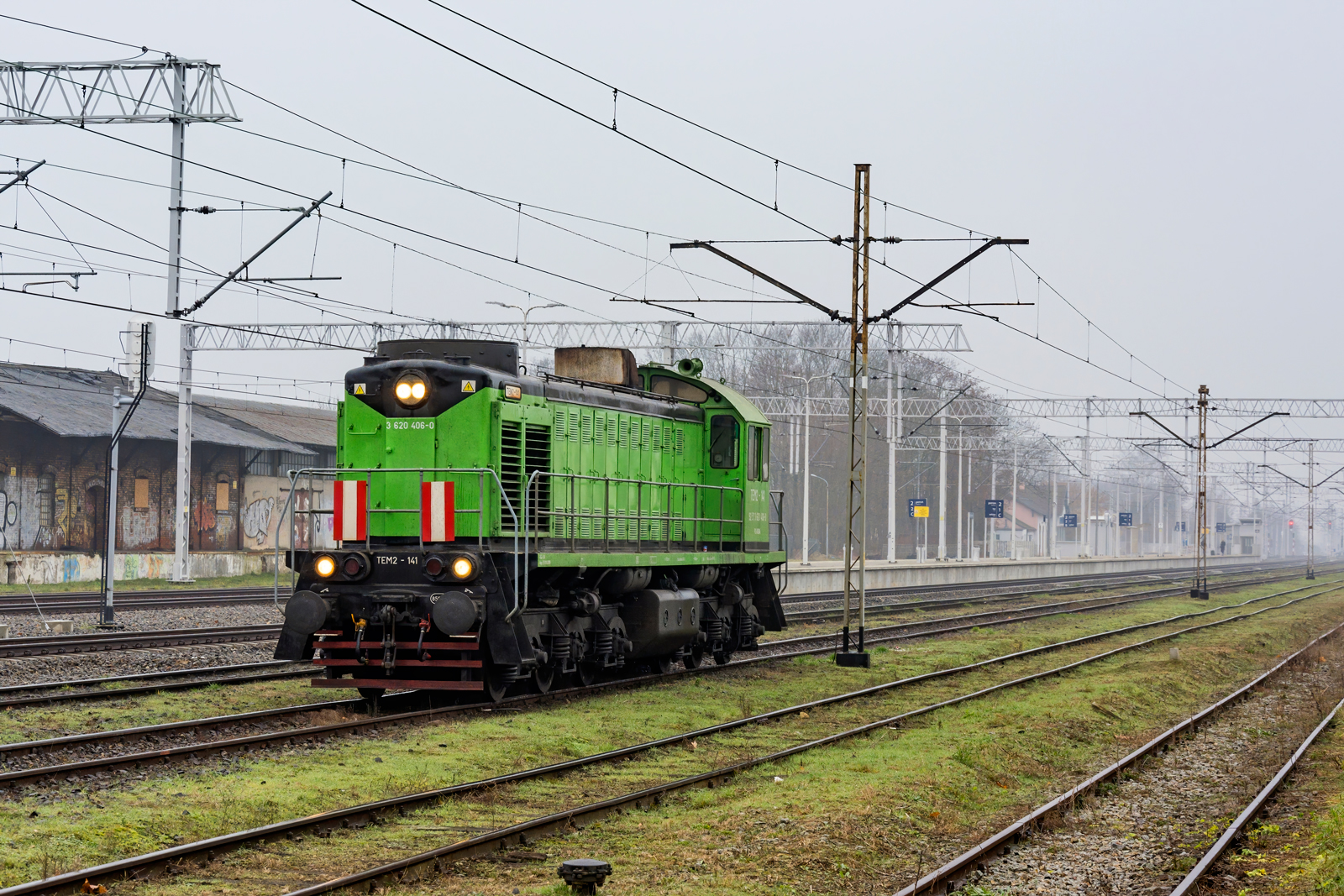 TEM2-141