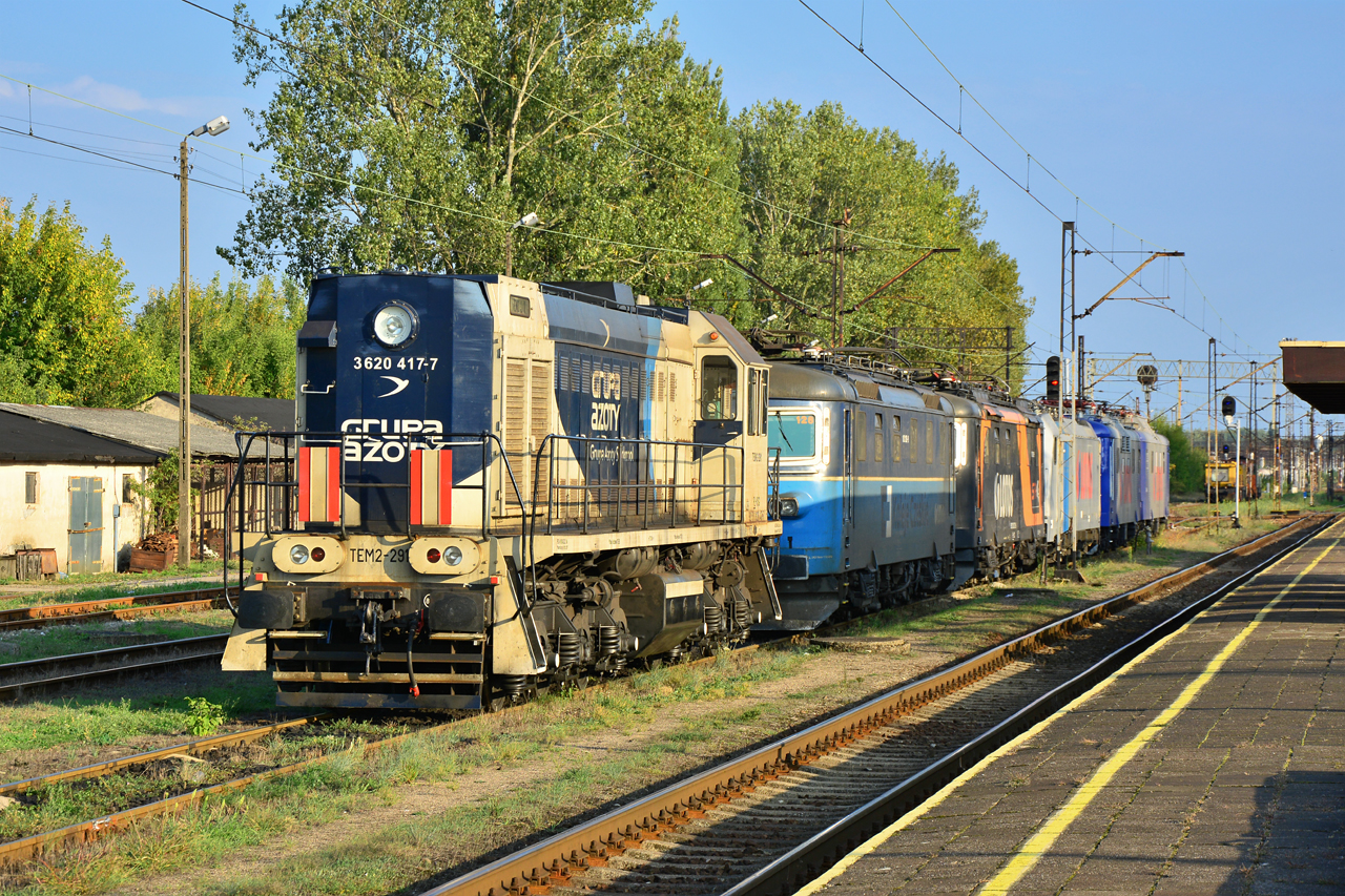 Tem2-291