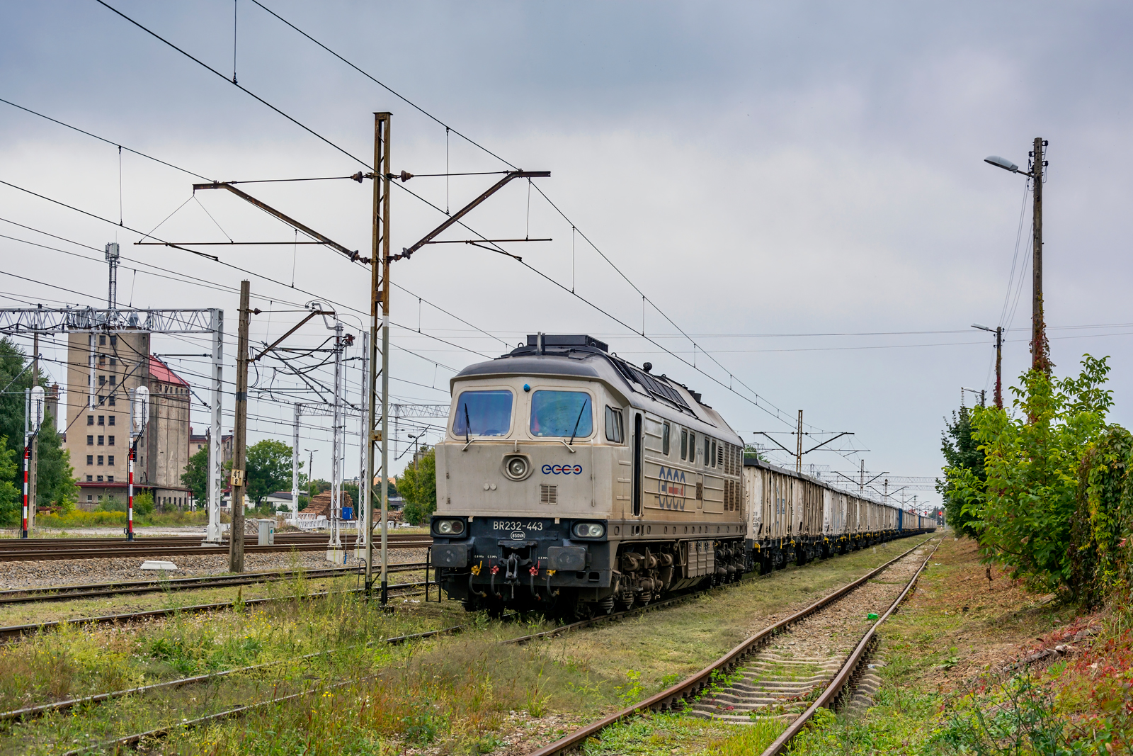 BR232-443