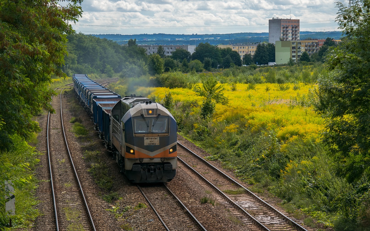311D-10