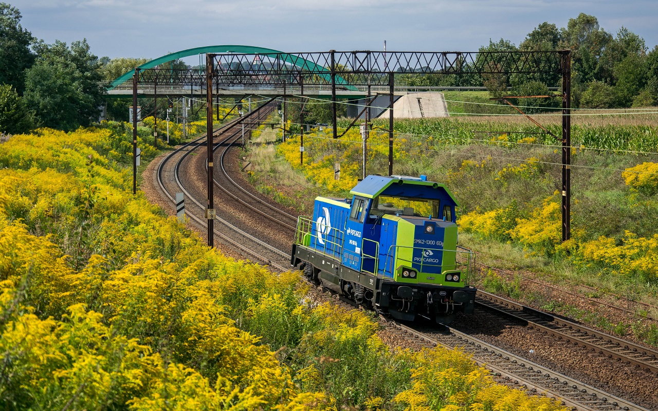 SM42-1300