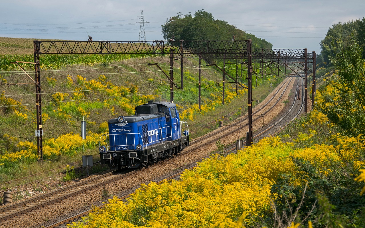 SM42-2433