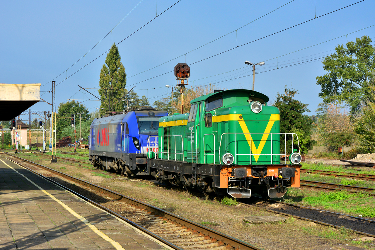 SM42-2443