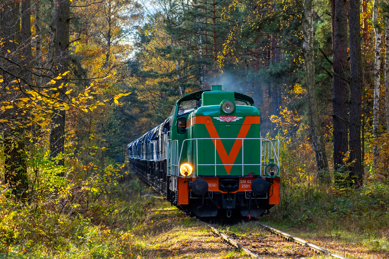 SM42-2501