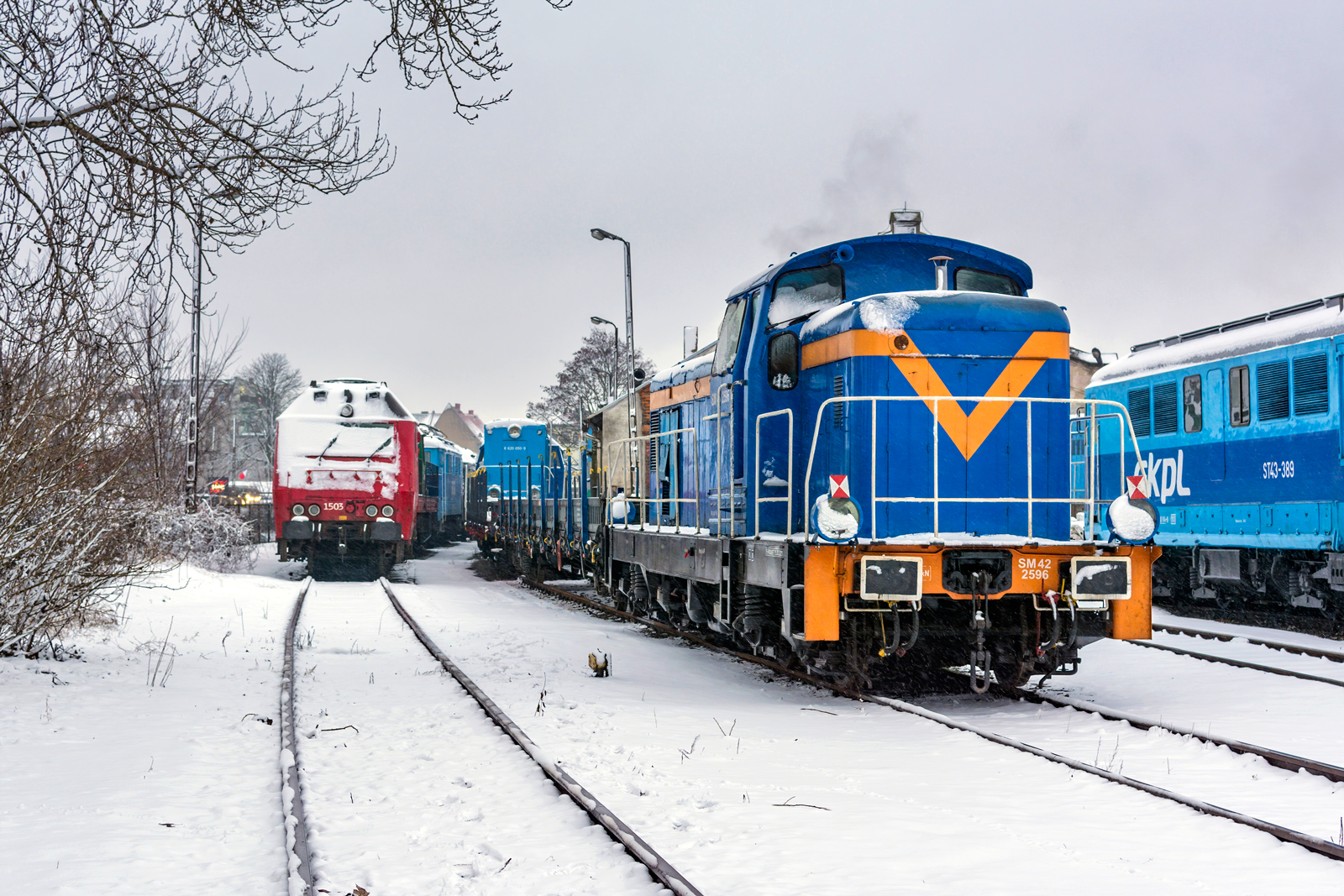 SM42-2596