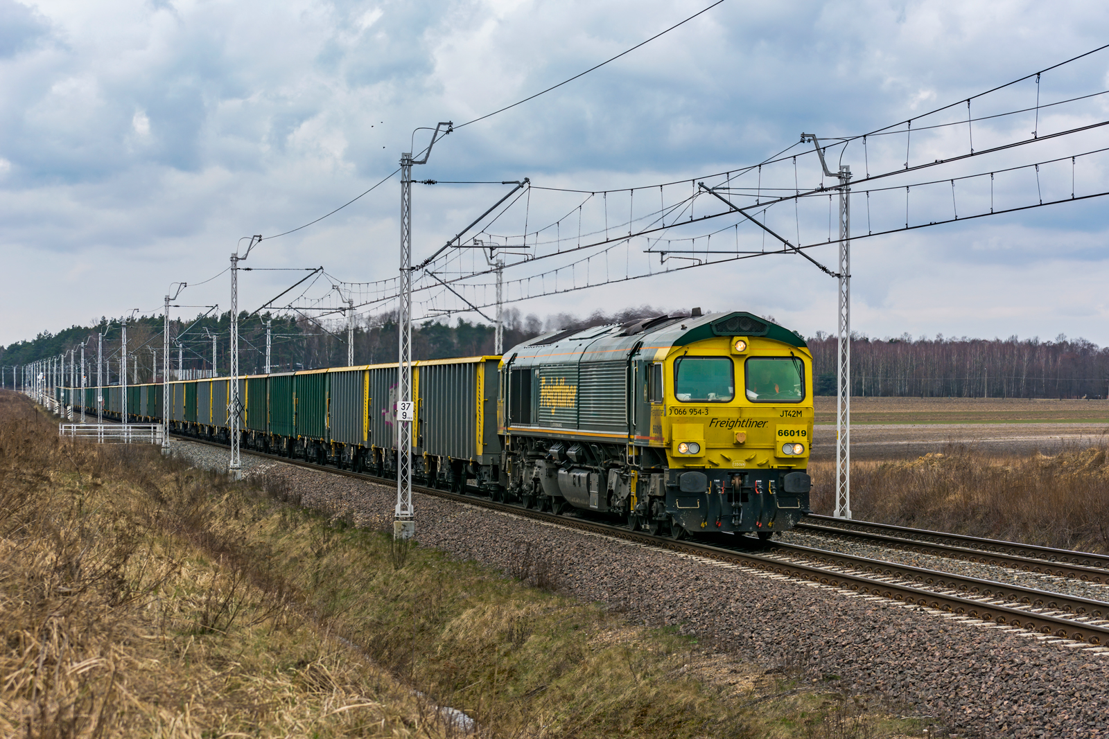 Class 66019