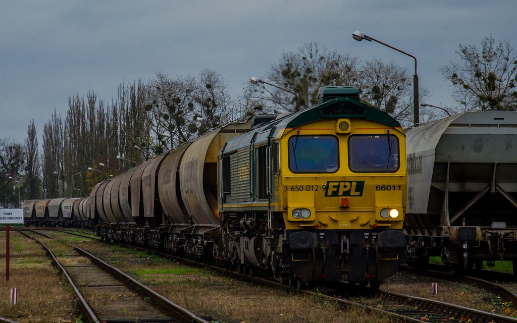 66011