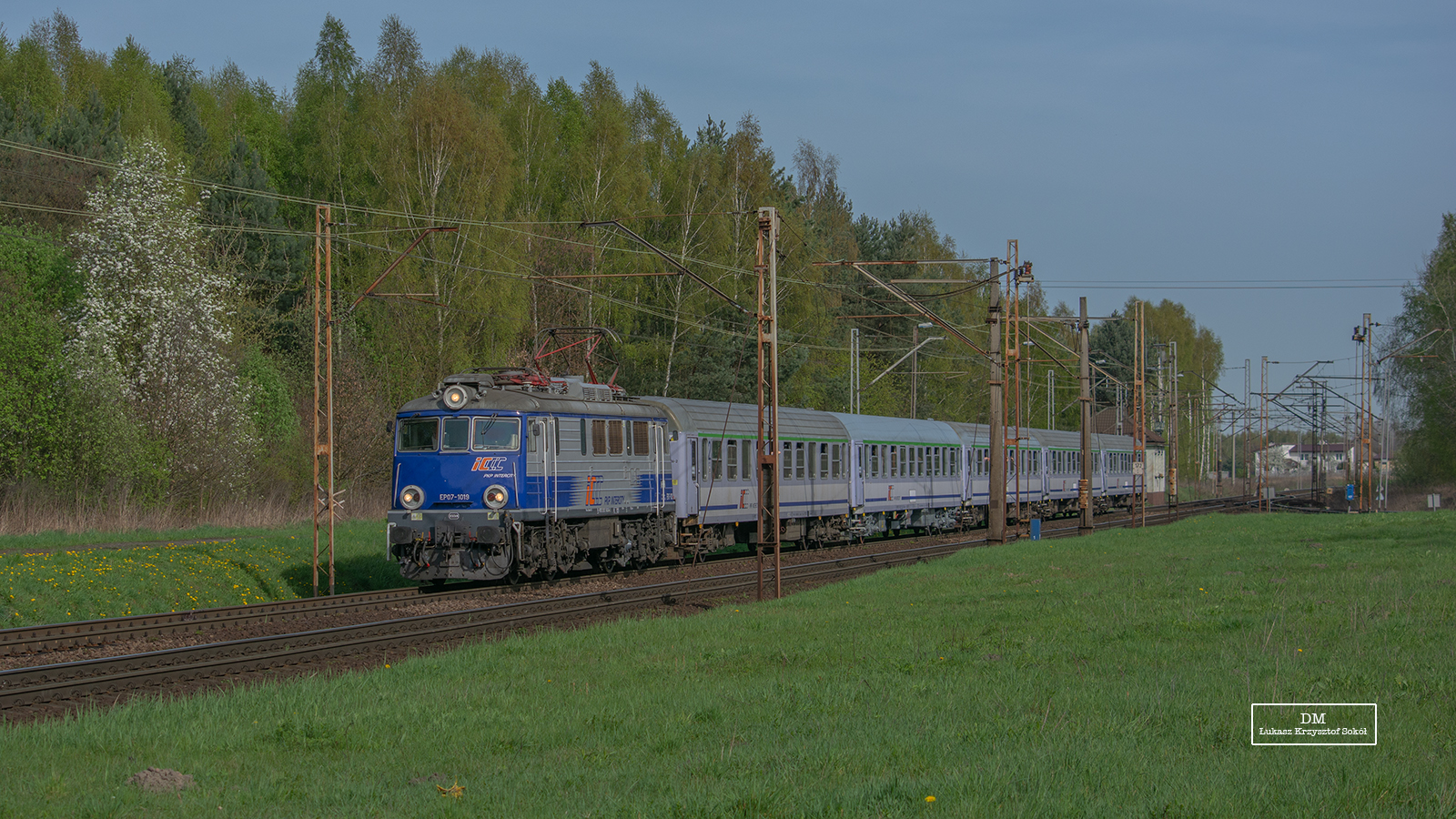 KIBICE