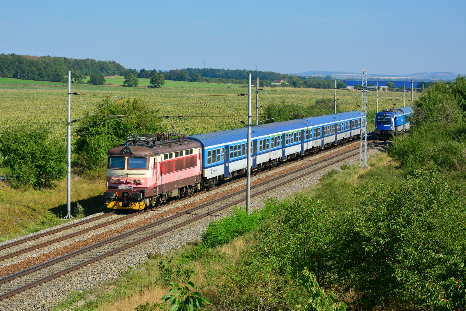 242 273-1