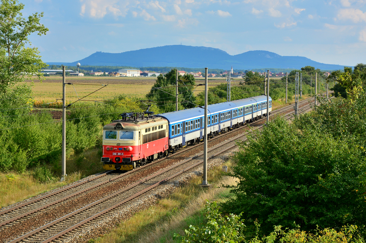 242 281-4
