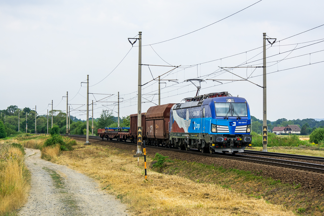 383 009-8