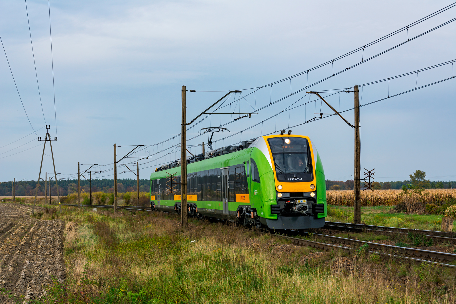 655 003-2