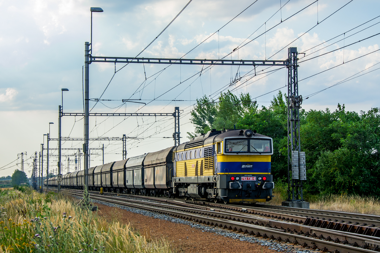 753 736-6