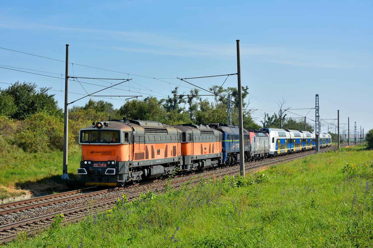 753 738-1