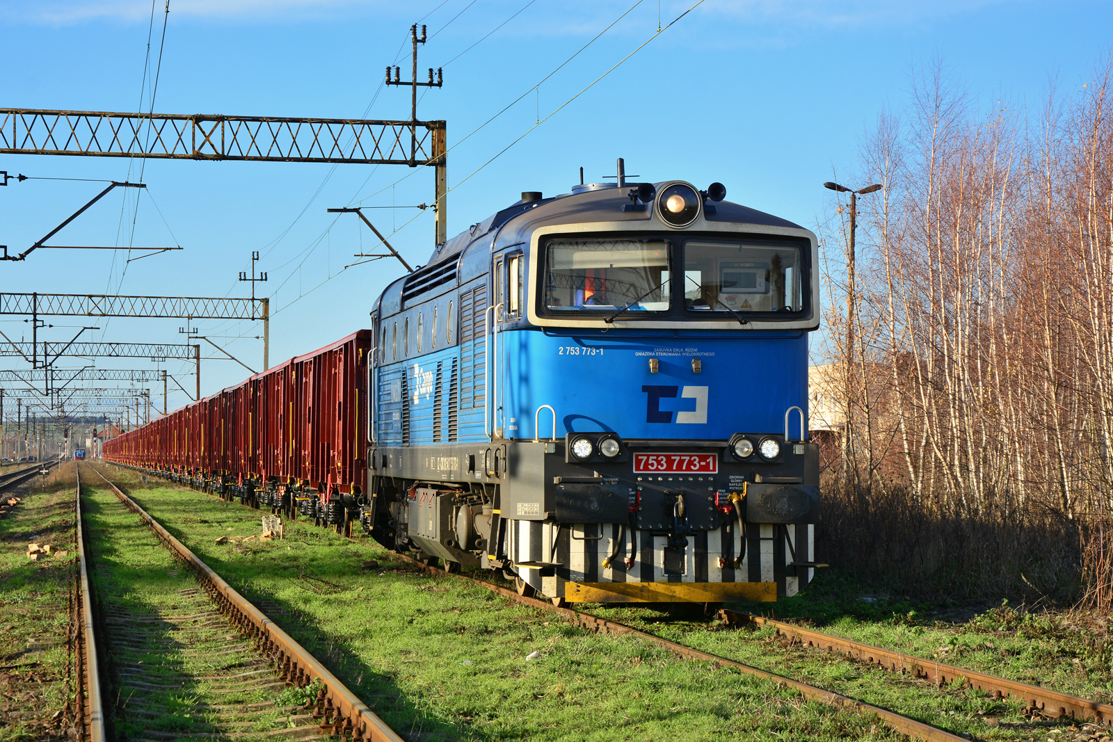 753 773-1