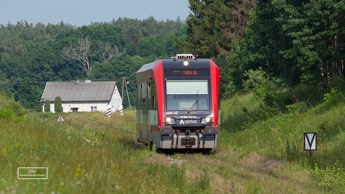 LEŚNĄ ŚCIEŻKĄ...