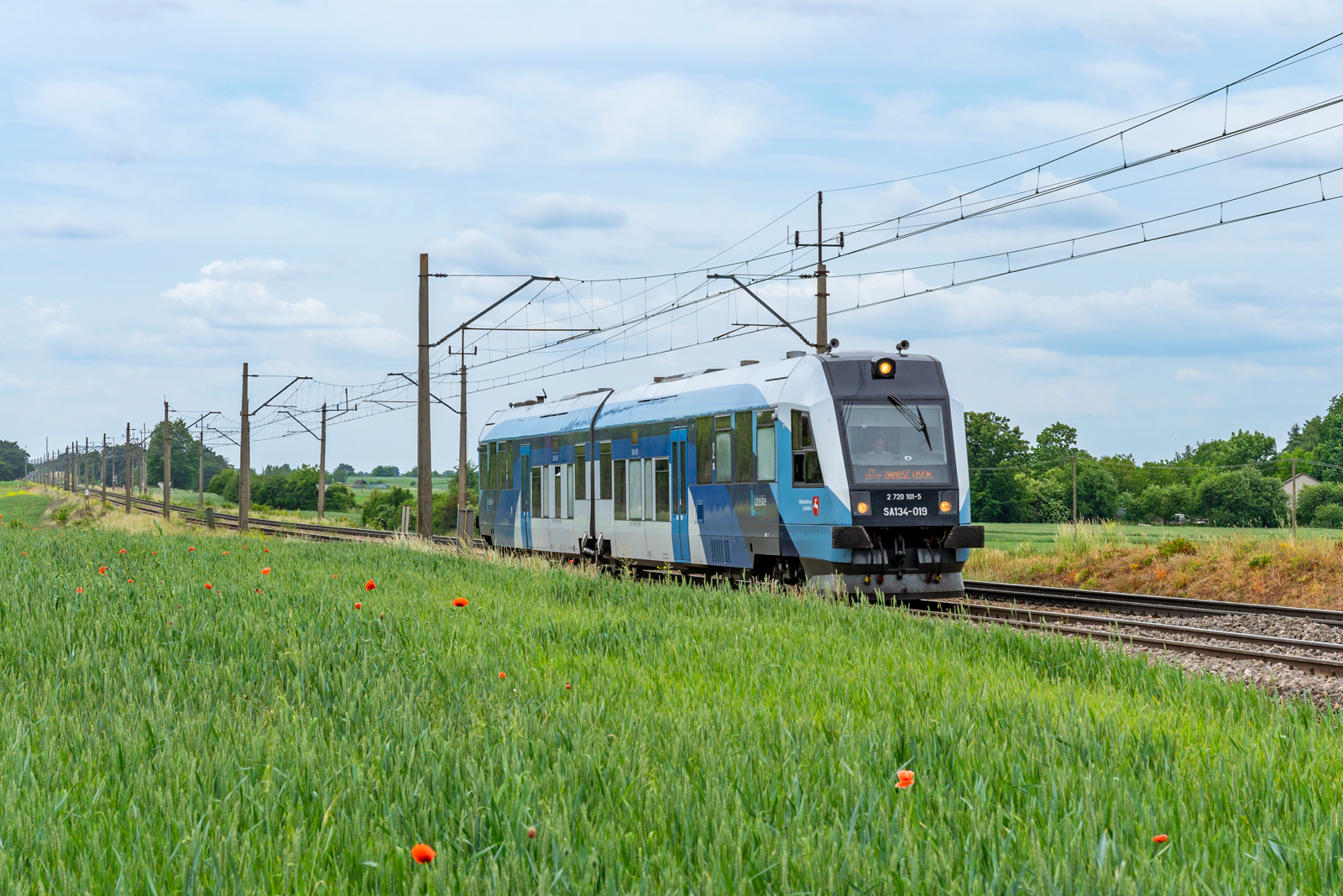 SA134-019